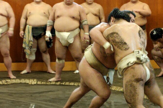 Sumo Training Watching Experience in Tokyo - Exploring Sumo Training Watching in Tokyo: An Authentic Glimpse into Japan’s Sacred Sport