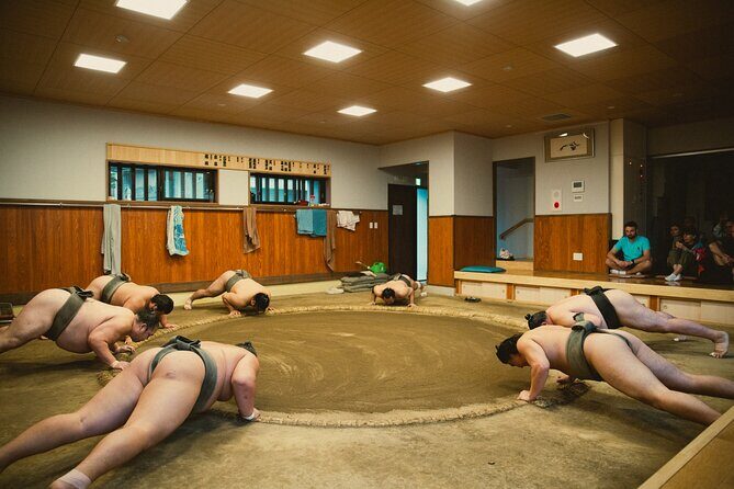 Sumo Wrestlers Morning Practice Tour Tokyo Sumida District - What to Expect from the Tour