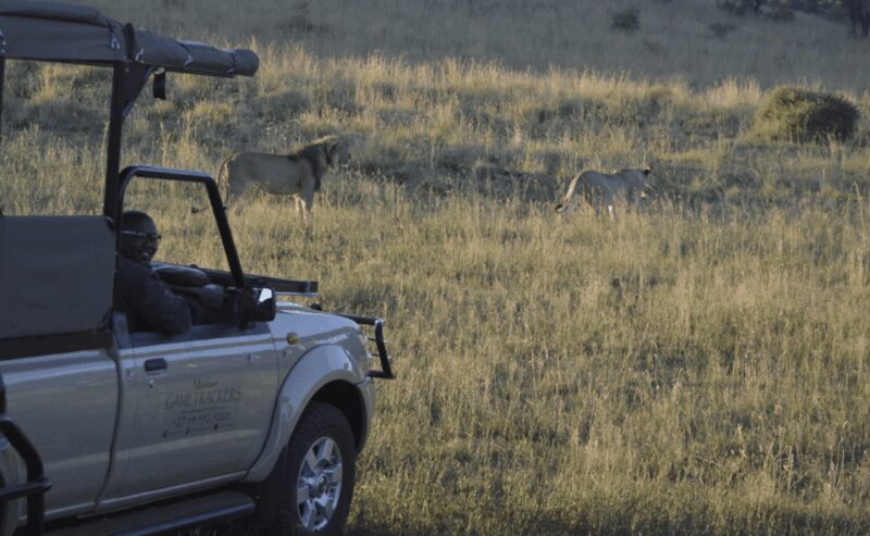 Sun City: 6H Game Drive with Lunch - The Authenticity of the Experience