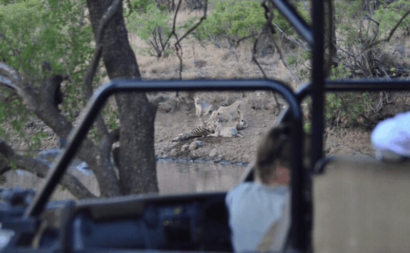 Sun City: 6H Game Drive with Lunch - FAQ
