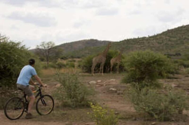 Sun City: Letsatsing Game Park Mountain Bike Trail - An In-Depth Look at the Sun City Letsatsing Game Park Mountain Bike Trail