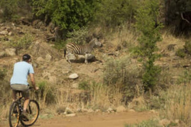 Sun City: Letsatsing Game Park Mountain Bike Trail - Practical Details and Tips for Your Ride