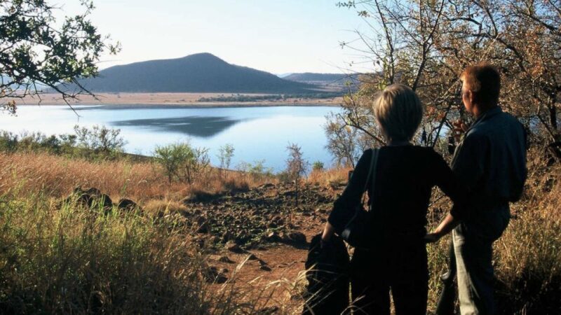 Sun City: Pilanesberg National Park Bush Walk - A Detailed Look at the Pilanesberg Bush Walk Experience