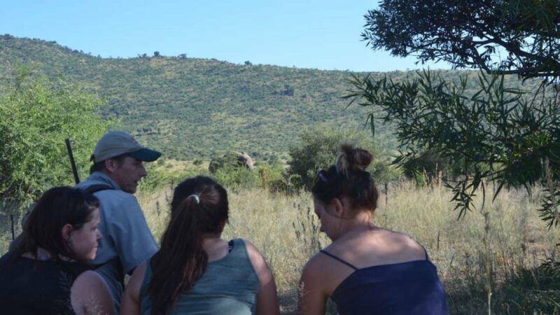 Sun City: Pilanesberg National Park Bush Walk - Final Thoughts: Is It Worth It?