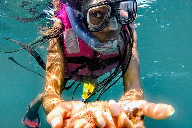 Sun, Sea & Streets: Beach Day + Snorkel Adventure & City Tour - Key Points