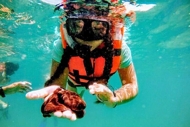 Sun, Sea & Streets: Beach Day + Snorkel Adventure & City Tour - Cost and Value