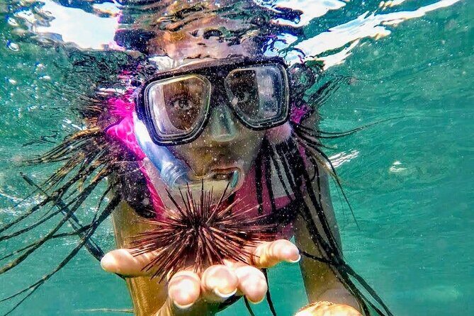 Sun, Sea & Streets: Beach Day + Snorkel Adventure & City Tour - The Sum Up: Who Will Love This Tour?