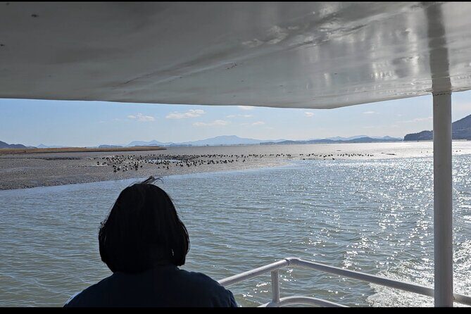 Suncheon and Yeosu Daily Private Tour with Pickup Service - What Makes This Tour Stand Out?