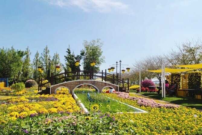 Suncheon one day tour from Seoul, Busan or Suncheon - The Value of This Tour