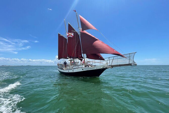 Suncoast Sailing's Day Sailing Experience! - Practical Considerations