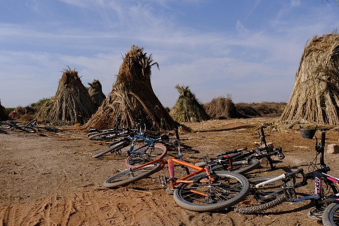 Suncycling in Marrakech's Palm Groove - Breakfast Included - FAQ
