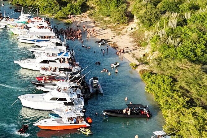 Sunday Boat Festival/Meet up with Djs, open bar & snacks - Meeting Point and Timing