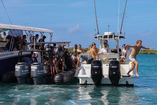 Sunday Boat Festival/Meet up with Djs, open bar & snacks - The Value and Who It’s For