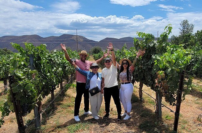 Sunday Special Wine Tour in Temecula Valley with Lunch - Who Is This Tour Best For?