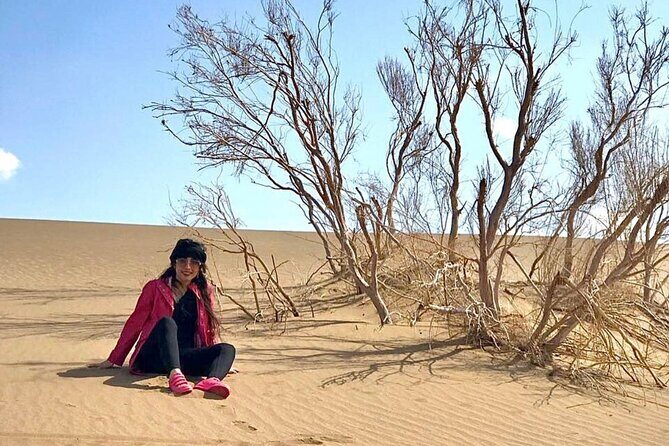 Sundowner Dune Safari With Dinner - An In-Depth Look at the Sundowner Dune Safari