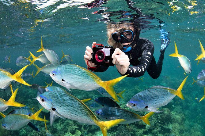Sunlover Reef Cruises Cairns Great Barrier Reef Experience - A Deep Dive into the Experience