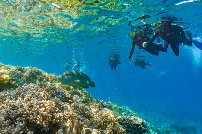 Sunlover Reef Cruises Cairns Great Barrier Reef Experience - The Sum Up