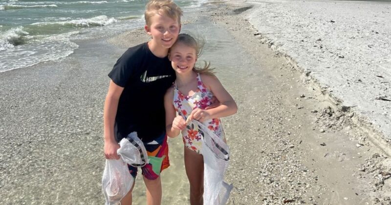 Sunrise and Shine 10,000 Islands Shelling Tour - Key Points