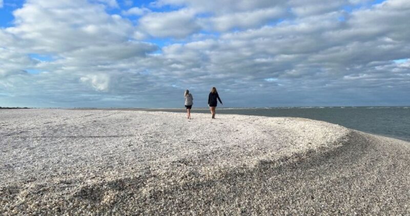 Sunrise and Shine 10,000 Islands Shelling Tour - An In-Depth Look at the Tour Experience