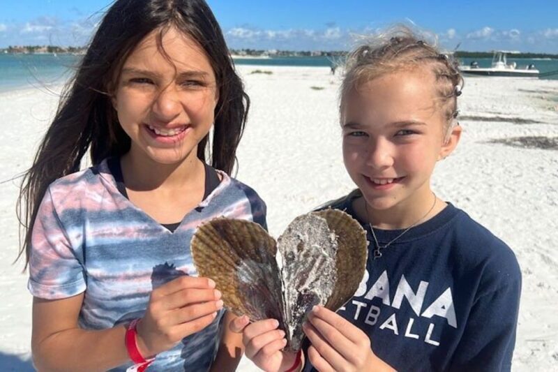 Sunrise and Shine 10,000 Islands Shelling Tour - Final Thoughts: Is It Worth It?