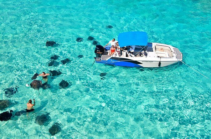 Sunrise at Stingray City, Private Tour - Final Thoughts: Who Should Consider This?