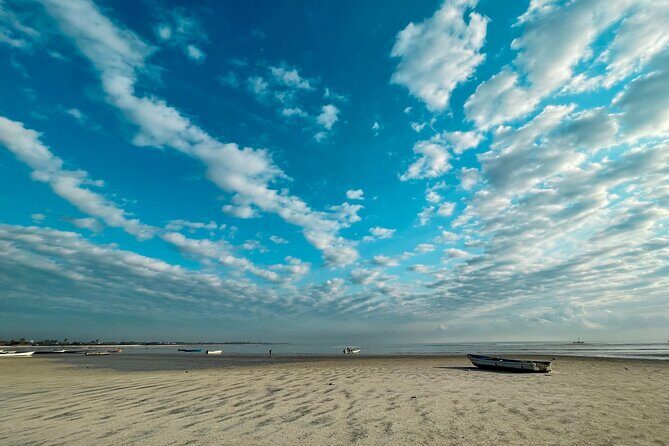 Sunrise Beach Walk with Picnic Breakfast Activity - The Practicalities