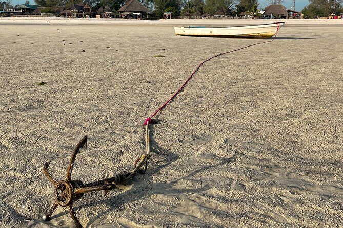 Sunrise Beach Walk with Picnic Breakfast Activity - Analyzing the Value