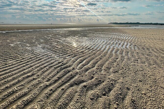 Sunrise Beach Walk with Picnic Breakfast Activity - Who Will Love This Tour?