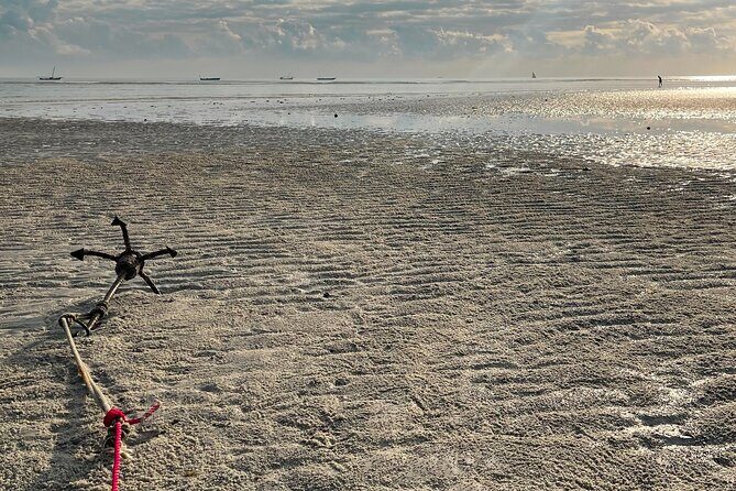 Sunrise Beach Walk with Picnic Breakfast Activity - Wrapping Up