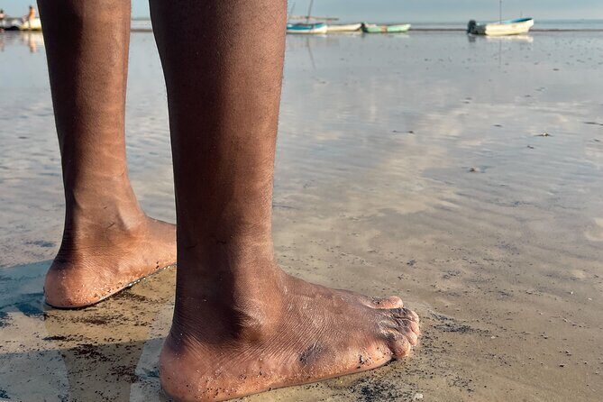 Sunrise Beach Walk with Picnic Breakfast Activity - Final Thoughts