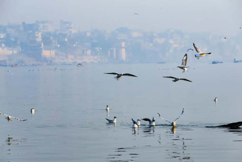 Sunrise Boat Ride, Ganga Arti, Street Food, Heritage Walk - Key Points