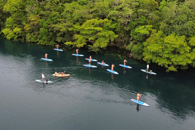 Sunrise by Paddle or Kayak with Floating Picnic - Final Thoughts