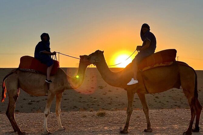 Sunrise Camel Ride and Breakfast in Agafay Desert from Marrakech - Key Points