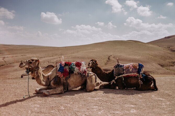 Sunrise Camel Ride and Breakfast in Agafay Desert from Marrakech - Final Thoughts