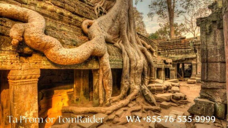 Sunrise Cycling Of Angkor Wat Temple - Who Will Love This Tour?
