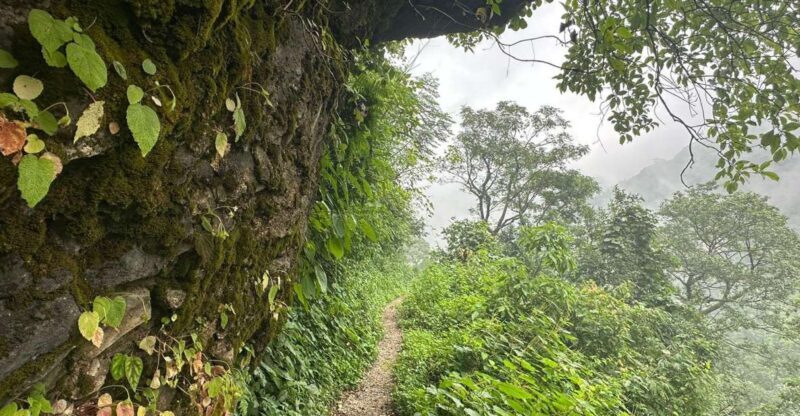 Sunrise Day Hike in Rishikesh - Key Points