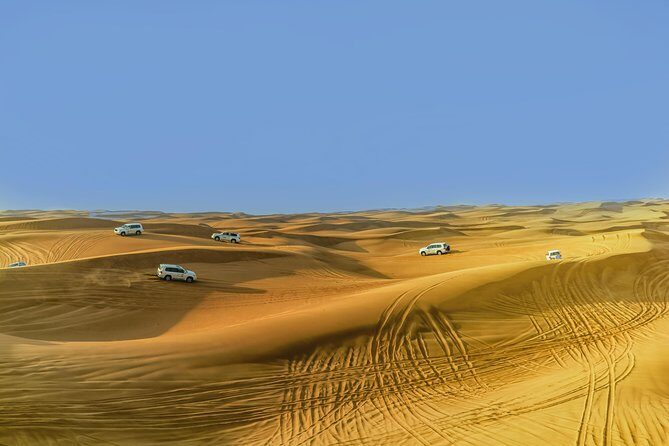Sunrise Desert Safari from Abu Dhabi - Analyzing the Value and Booking Experience