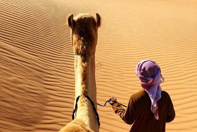 Sunrise Desert Safari from Abu Dhabi - The Authentic Desert Experience