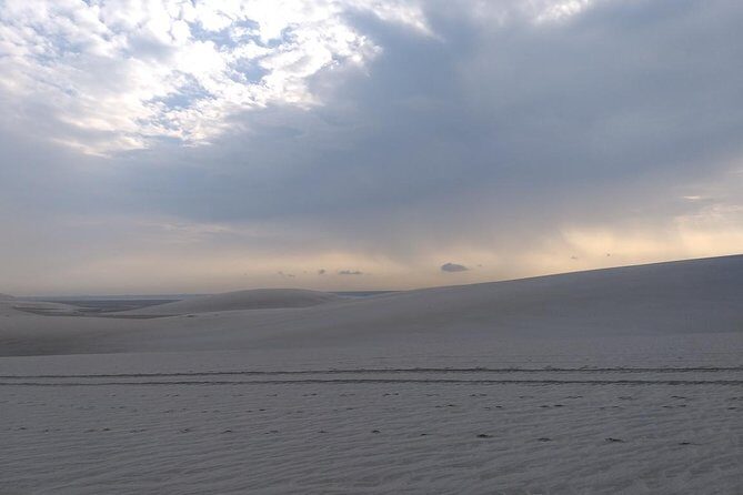 Sunrise Desert Safari in Qatar: An Unforgettable Adventure - Stop 3: Sealine Beach and Desert Dunes