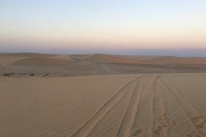 Sunrise Desert Safari in Qatar: An Unforgettable Adventure - The Experience’s Strengths