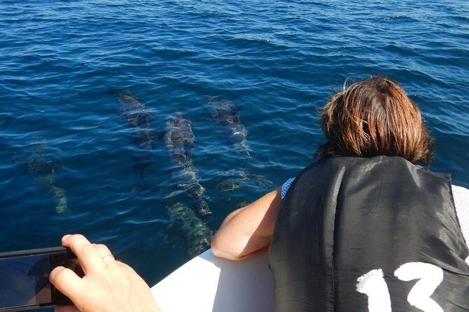 Sunrise dolphin watching experience and Bar Reef snorkelling Kalpitiya - The Value: Why This Tour Works