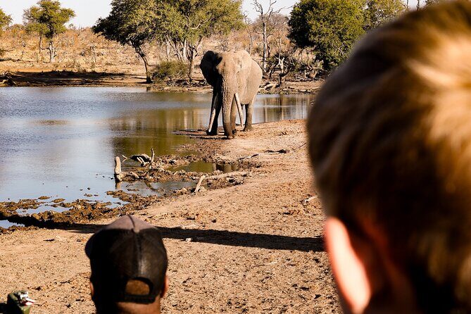 Sunrise Game Drive in Big5 Reserve - What Makes This Tour Stand Out?