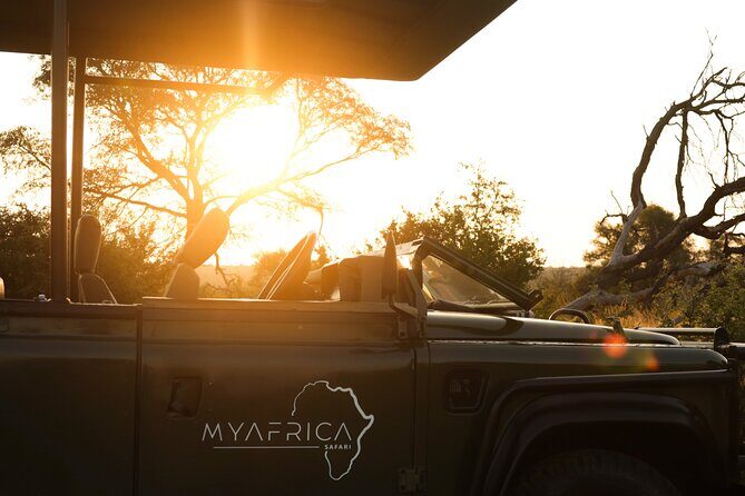 Sunrise Game Drive in Big5 Reserve - The Value of the Experience