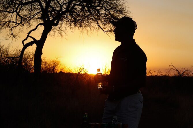 Sunrise Game Drive in Big5 Reserve - The Sum Up