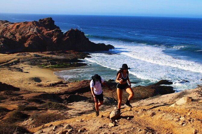 Sunrise Guided Desert Hike in Los Cabos - Logistics and Value