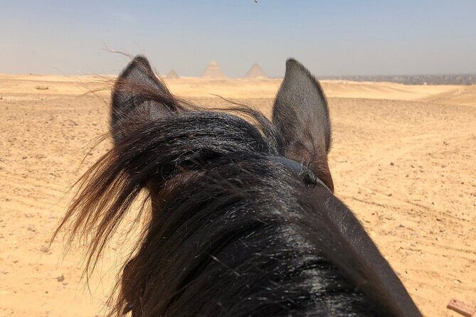 Sunrise Horseback Ride Around the Pyramid of Giza - The Experience from Real Travelers