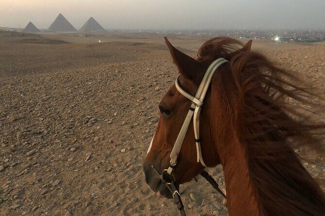 Sunrise Horseback Ride Around the Pyramid of Giza - Practical Details and Tips