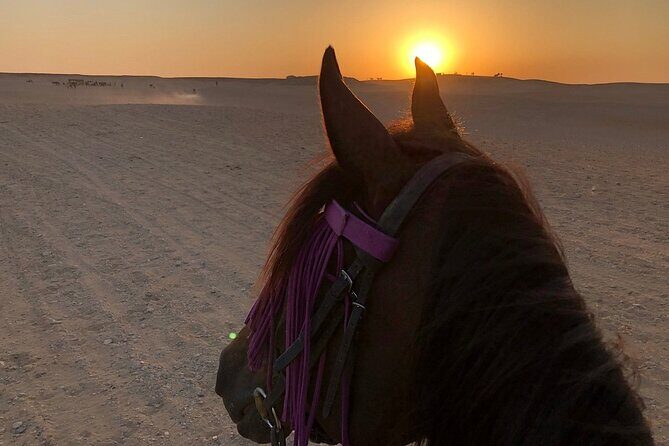 Sunrise Horseback Ride Around the Pyramid of Giza - FAQ