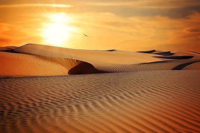 Sunrise in Dubai Desert - Returning to Dubai and Practical Details