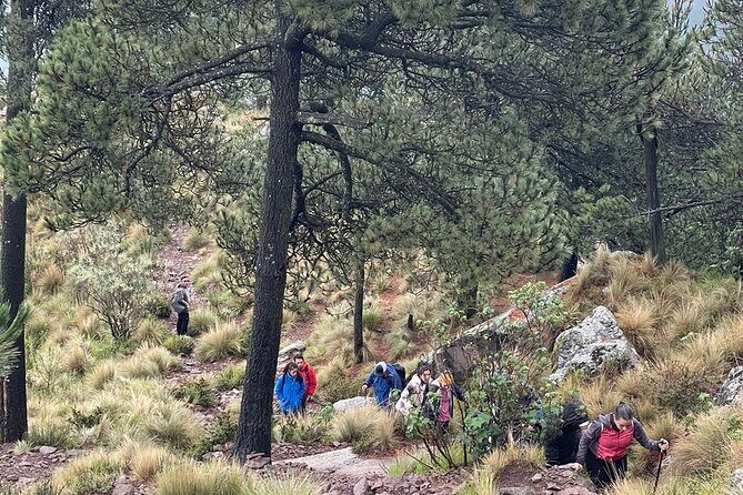 Sunrise in Las Alturas Hiking in El Pico del Aguila Tlalpan - The Authentic Appeal and Real Traveler Insights